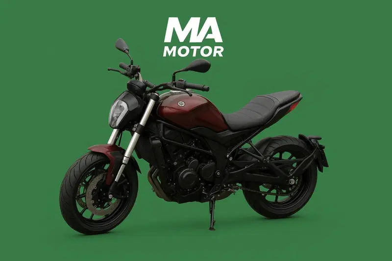 Benelli 502 C (2021 - 25) (5)