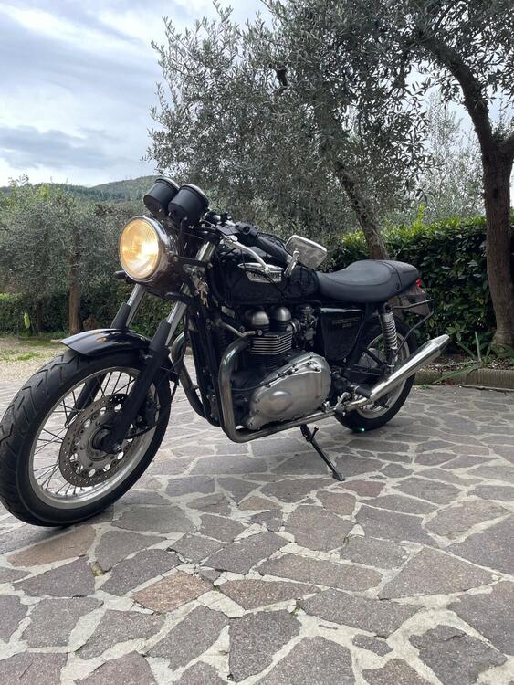 Triumph Thruxton 900 (2004 - 15) (3)