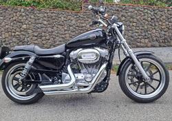 Harley-Davidson 883 SuperLow (2017 - 20) - XL 883L usata
