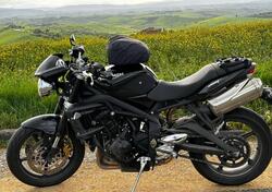 Triumph Street Triple (2007 - 12) usata