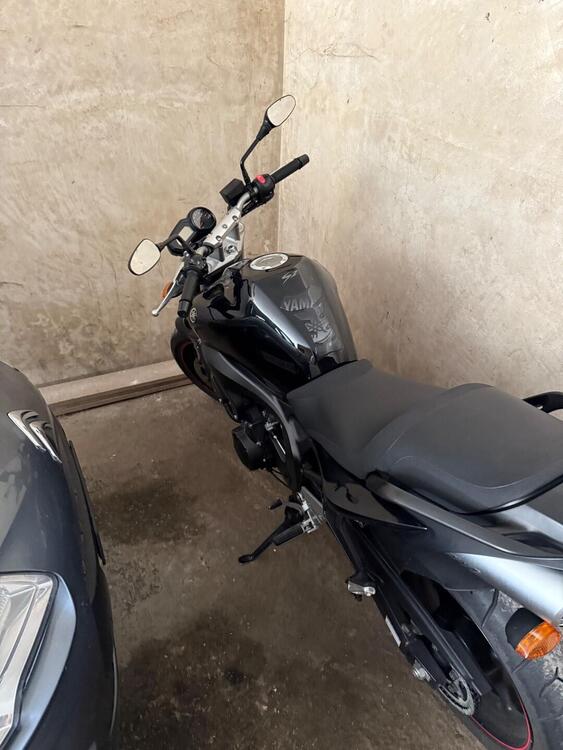 Yamaha FZ6 S2 (2007 - 11) (2)