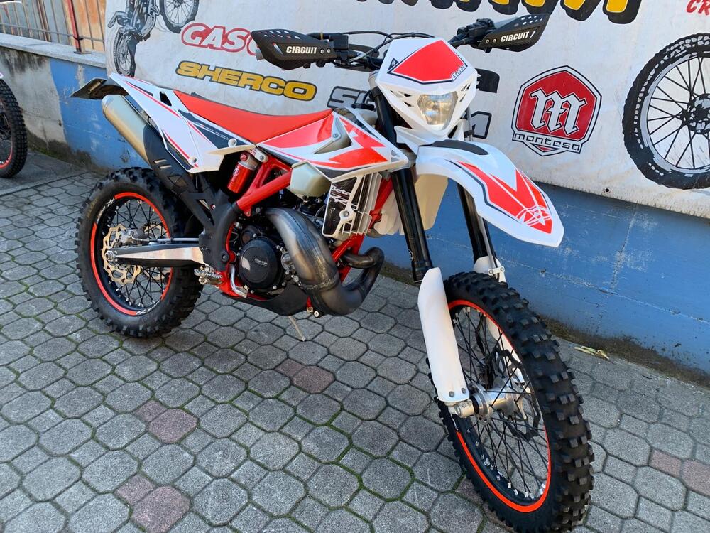 Betamotor RR 250 2T Enduro (2019) (2)