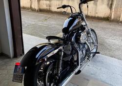 Harley-Davidson 883 Low (2006 - 07) - XL 883L usata