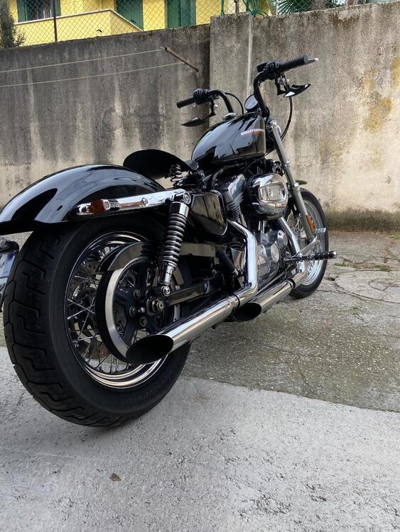 Harley-Davidson 883 Low (2006 - 07) - XL 883L (3)