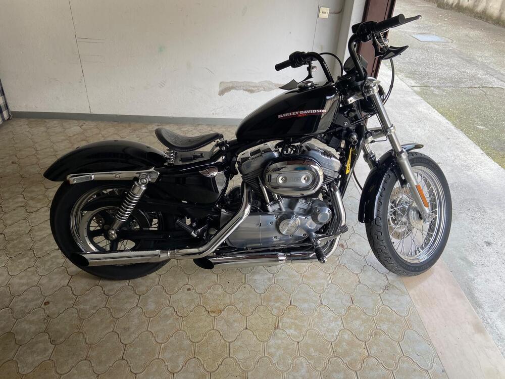 Harley-Davidson 883 Low (2006 - 07) - XL 883L (5)