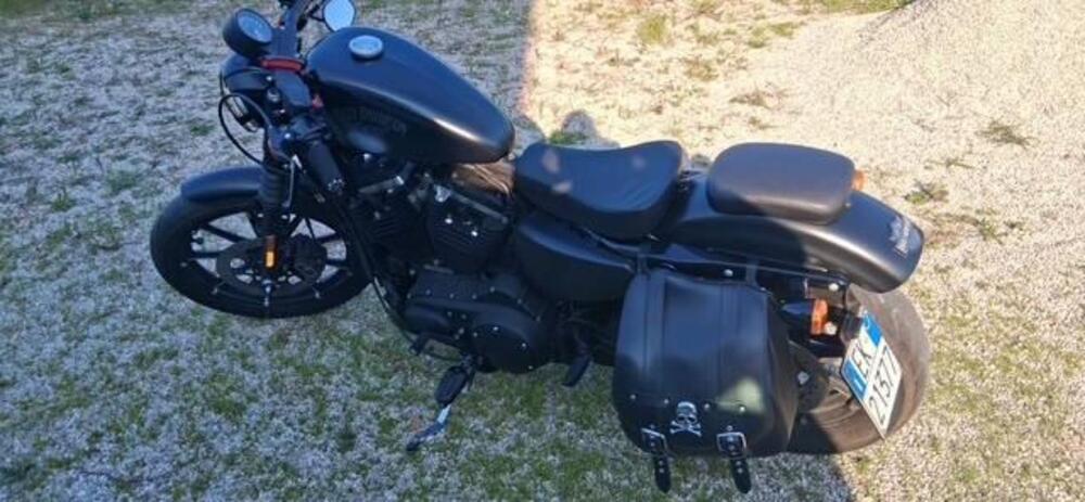 Harley-Davidson 883 Iron (2017 - 20) - XL 883N (3)