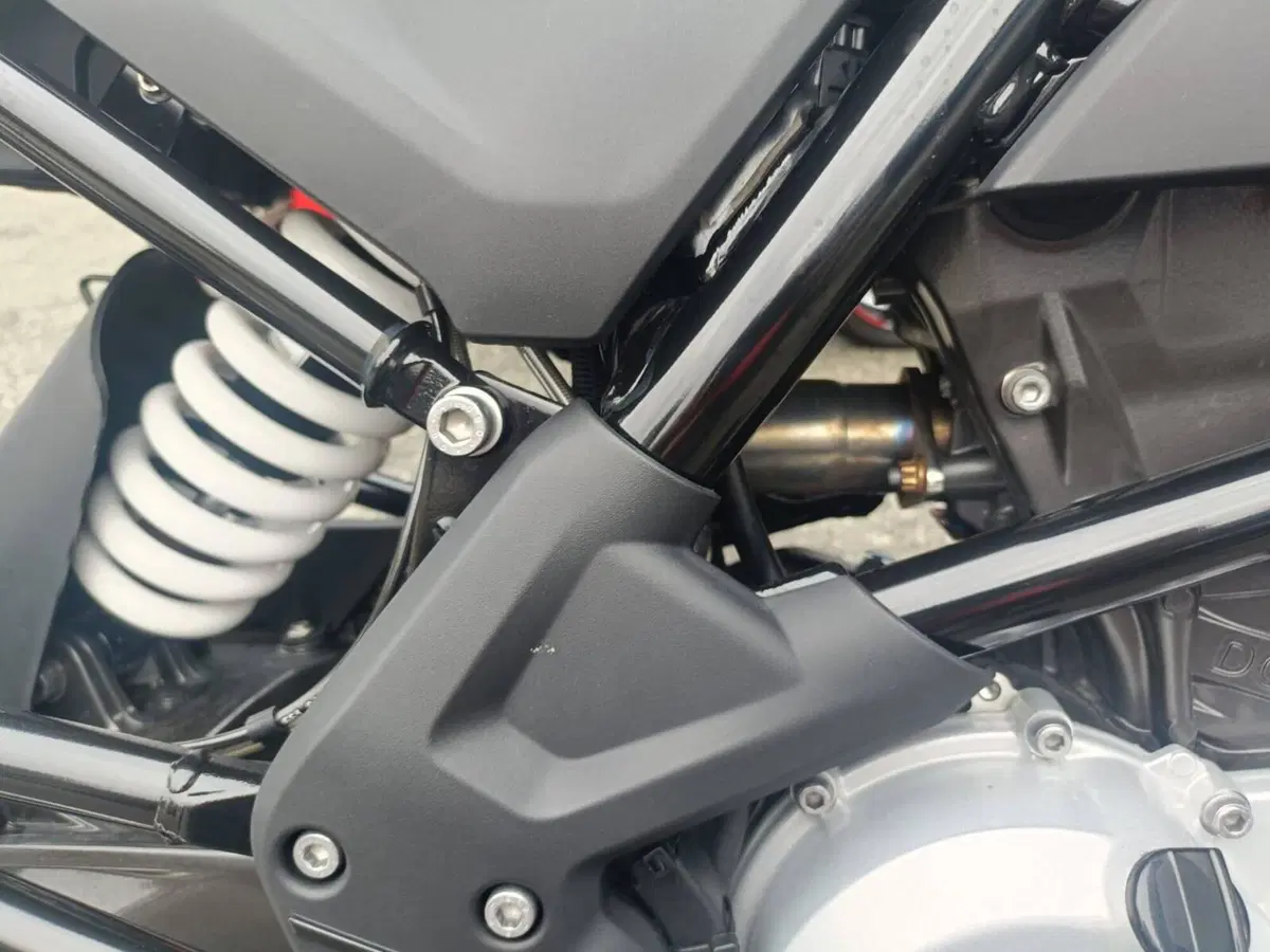 SCARICO OMOLOGATO FONDELLO IN CARBONIO BMW GS 310 FRATELLI FRESCO (4)