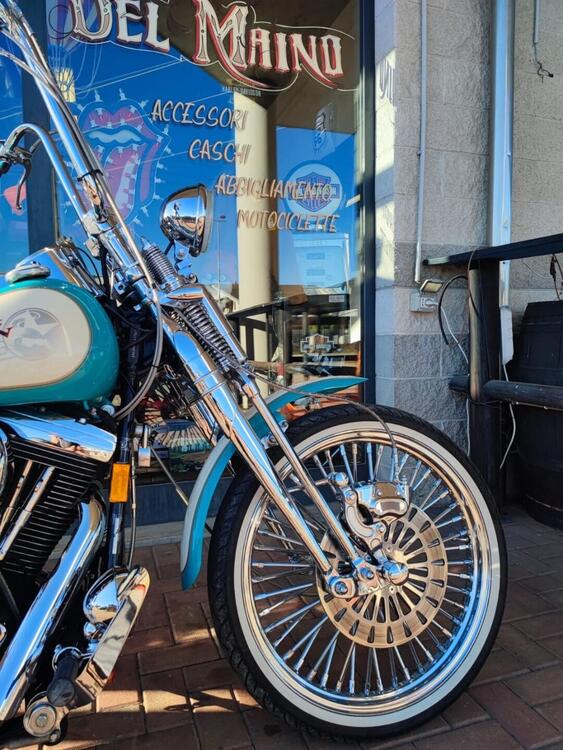 Harley-Davidson 1340 Springer (1990 - 98) - FXSTS (2)