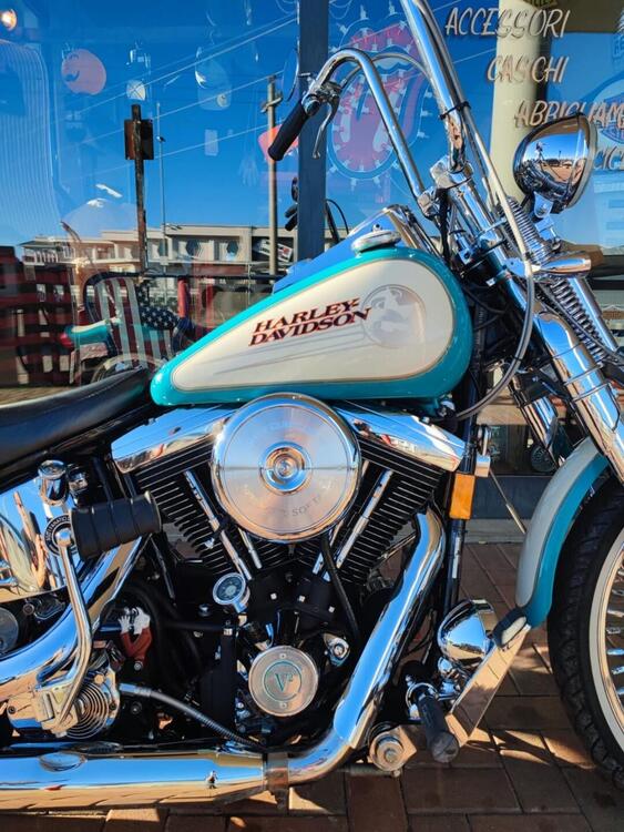 Harley-Davidson 1340 Springer (1990 - 98) - FXSTS (3)
