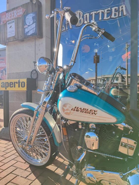 Harley-Davidson 1340 Springer (1990 - 98) - FXSTS (5)