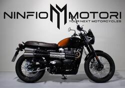 Triumph Scrambler 900 Stealth Edition (2024) usata
