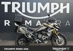 Triumph Tiger 900 Rally Pro (2020 - 23) usata