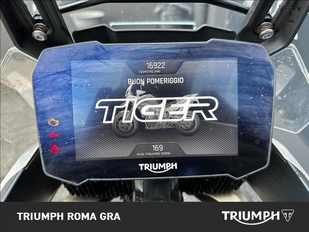 Triumph Tiger 900 Rally Pro (2020 - 23) (4)