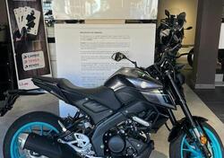 Yamaha MT-125 (2021 - 24) usata