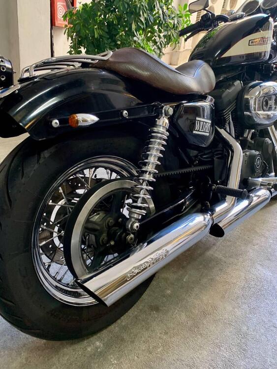 Harley-Davidson 1200 Roadster (2006 - 08) - XL 1200R (3)