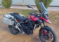 Triumph Tiger 900 GT Pro (2024 - 25) usata
