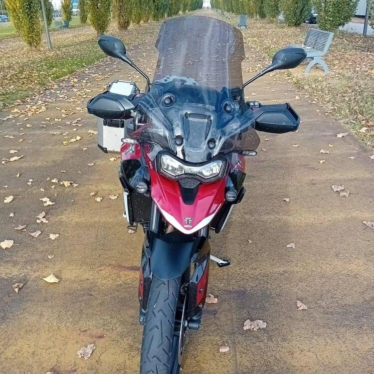 Triumph Tiger 900 GT Pro (2024 - 25) (5)