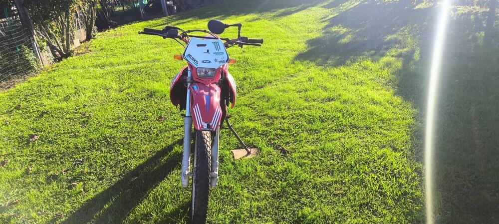 Malaguti XTM 50 Enduro (2003 - 12) (4)