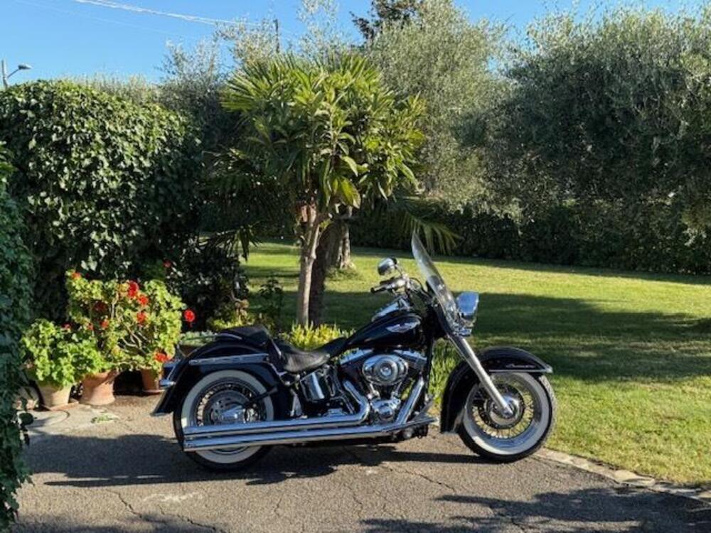 Harley-Davidson 1584 Deluxe (2007 - 08) - FLSTN (2)