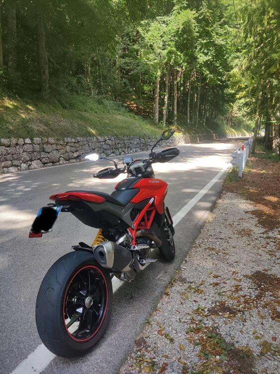 Ducati Hypermotard 821 (2013 - 15) (2)