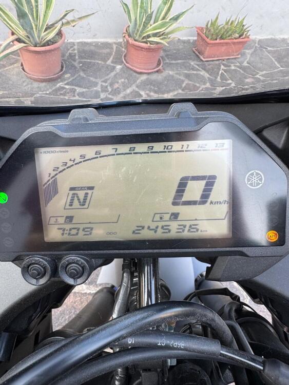 Yamaha YZF R3 (2019 - 20) (5)