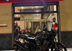 Harley-Davidson Pan America 1250 (2020 - 25) usata