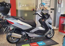 Malaguti Madison 250 RS (2005 - 06) usata