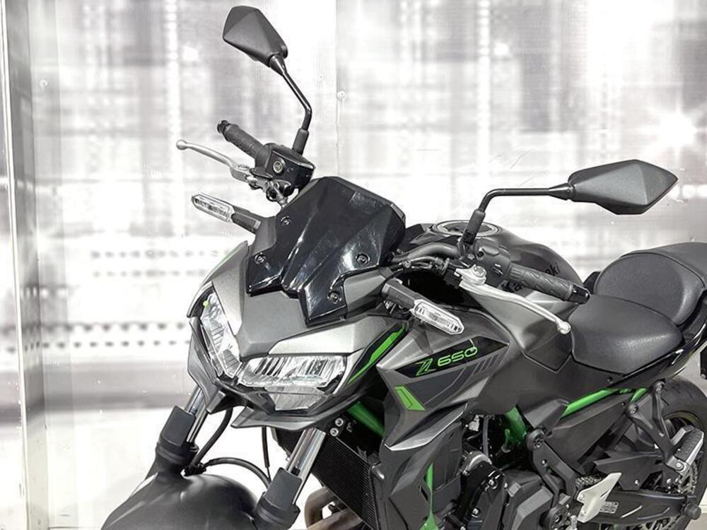 Kawasaki Z 650 (2021 - 24) (5)