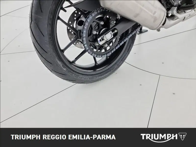 Triumph Scrambler 400 X (2024 - 26) (17)