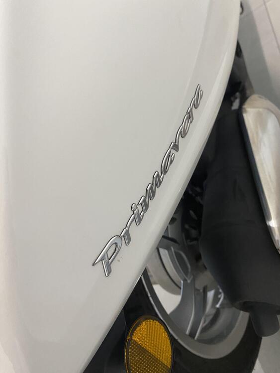 Vespa Primavera 125 (2024 - 25) (4)