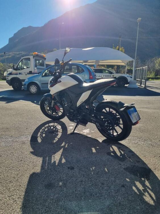 Malaguti Drakon 125 (2022 - 25) (4)