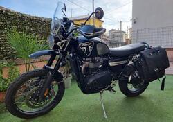 Triumph Scrambler 1200 XE Bond Edition (2020) usata