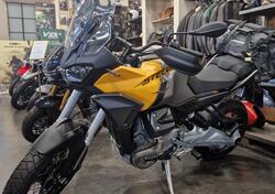 Moto Guzzi Stelvio (2024 - 25) usata