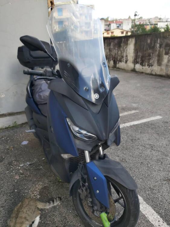 Yamaha X-Max 300 ABS (2017 - 20) (3)