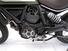 Ducati Scrambler 800 Urban Enduro (2015 - 16) (8)