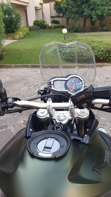 Triumph Tiger 800 XC ABS (2010 - 14) (4)