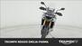 Triumph Tiger 900 Rally Pro (2024 - 25) (6)