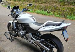 Honda Hornet 600 (2003 - 04) usata