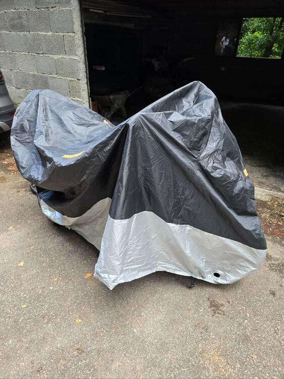 Honda Hornet 600 (2003 - 04) (5)