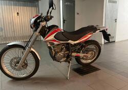 Betamotor Alp 4.0 (2006 - 08) usata