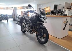 Triumph Tiger 1200 GT Pro (2024 - 25) usata