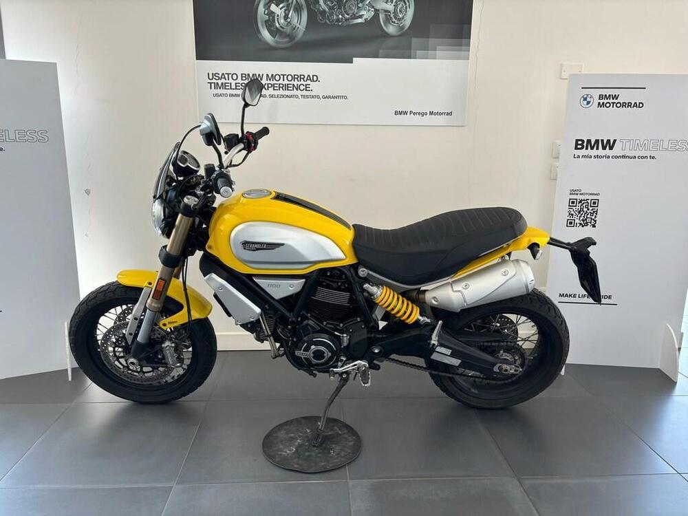Ducati Scrambler 1100 (2018 - 20) (3)