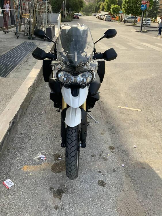 Triumph Tiger 800 XR (2015 - 17) (2)