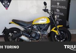 Ducati Scrambler 800 Classic (2015 - 16) usata