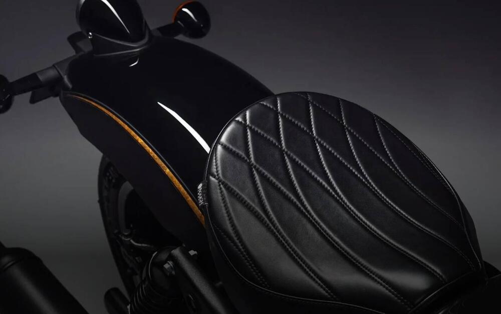 Royal Enfield Shotgun 650 (2024 - 25) (5)