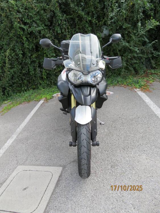 Triumph Tiger 800 ABS (2010 - 14) (2)