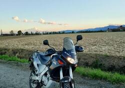 Aprilia Pegaso 650 (1997 - 00) usata