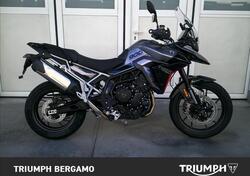 Triumph Tiger 900 GT (2024 - 25) usata