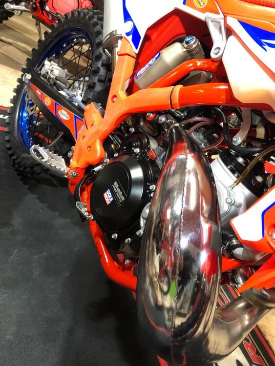 Betamotor RX 300 2T (2024 - 25) (2)