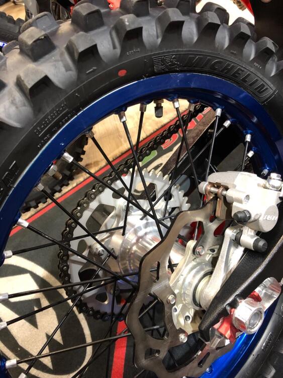 Betamotor RX 300 2T (2024 - 25) (4)